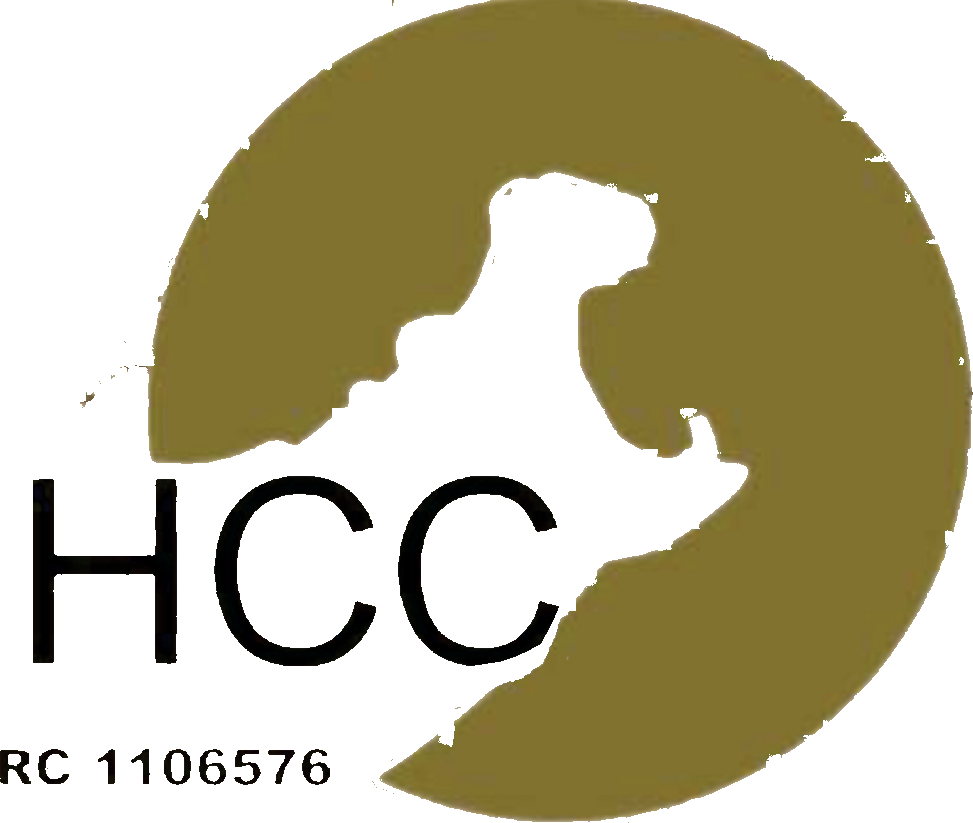 Hippotec Construction Company logo